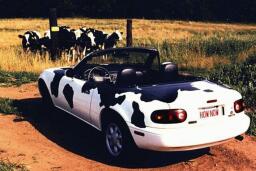 Mazda MooX-5