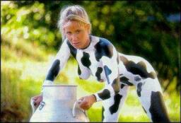 Our other MooSPEED mascot